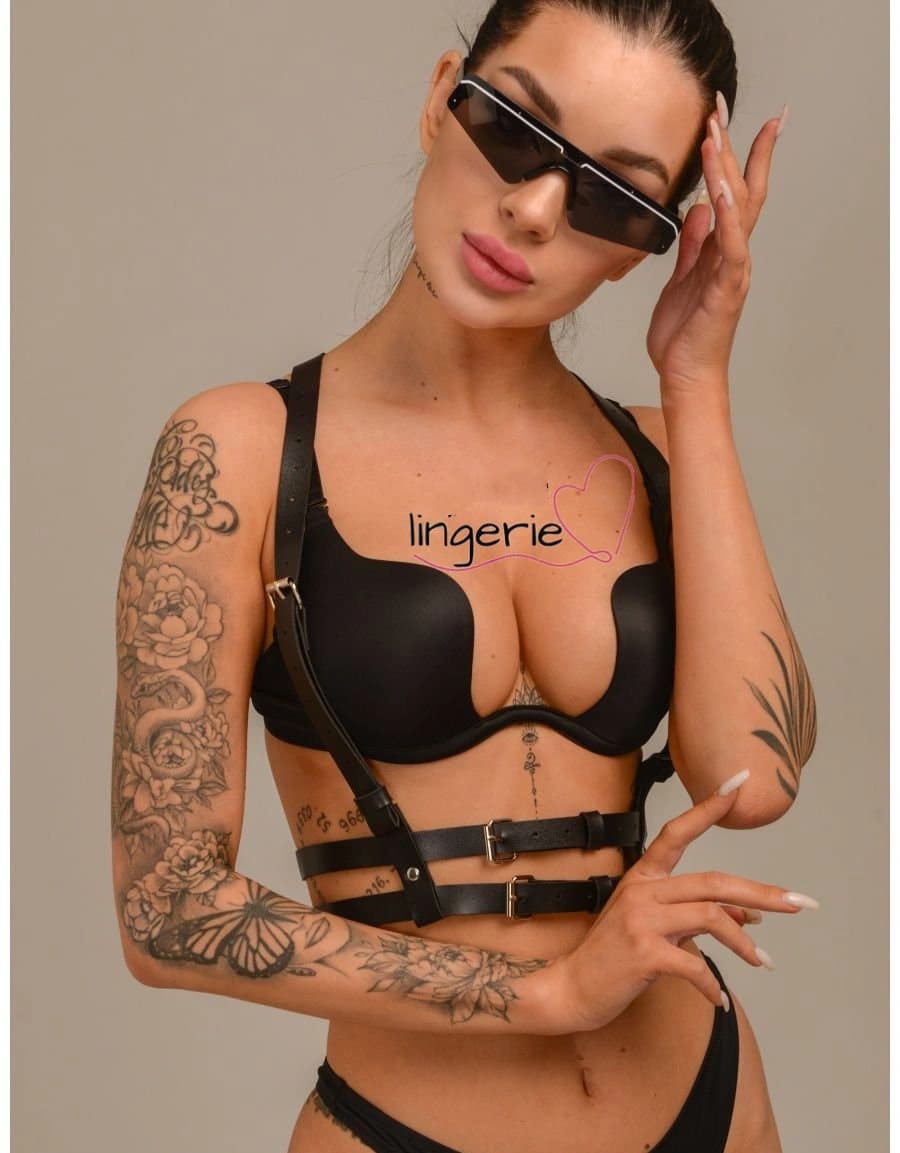 Waist Harness Belt featured image