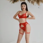Red Lingerie