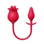 ローズ・ロメオ プラグ付