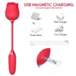 2-in-1 Rose Flower Toy Pro 2