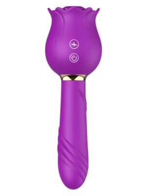 Rose Shaker Sucking G-spot Vibrator & Jump Egg Device for Women